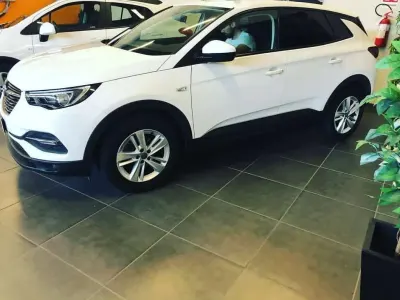 Usata Opel Grandland X 120 CV (88 kW) 2019 Bianco SUV