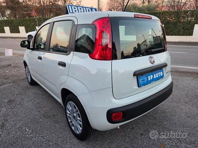 Usata Fiat Panda 69 CV (50 kW) 2021 Bianco Berlina