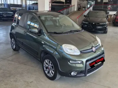 Usata Fiat Panda 4x4 Climbing 95 CV (69 kW) 2017 Verde Utilitaria