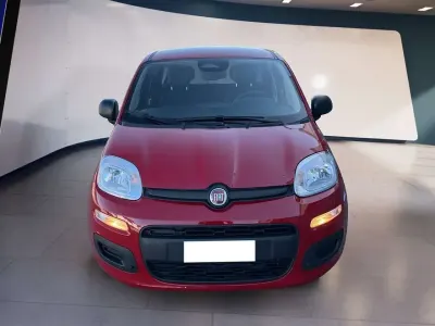 Usata Fiat Panda 69 CV (50 kW) 2025 Rosso Utilitaria