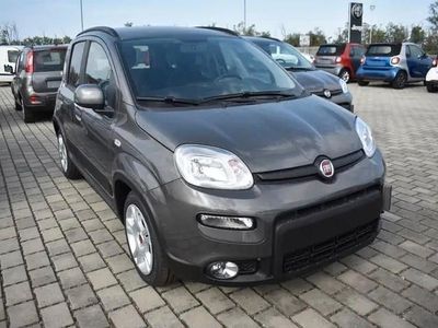 Usata Fiat Panda S 70 CV (51 kW) 2023 Grigio Utilitaria
