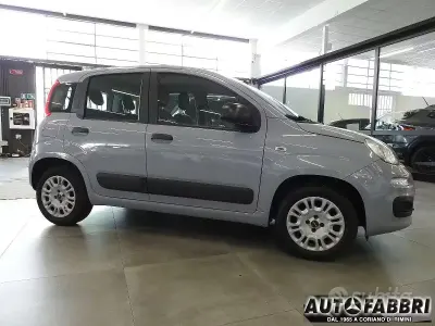 Usata Fiat Panda Easy 68 CV (50 kW) 2018 Grigio Utilitaria