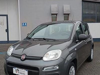 Usata Fiat Panda Easy 69 CV (50 kW) 2020 Grigio Utilitaria