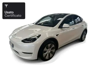Usata Tesla Model Y Long Range AWD 258 kW (351 CV) 2021 Pearl white multicoat SUV
