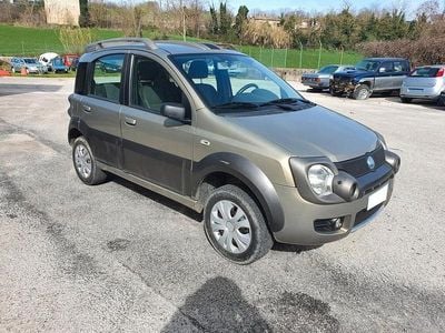 Usata Fiat Panda Cross Cross 69 CV (50 kW) 2007 Grigio Utilitaria