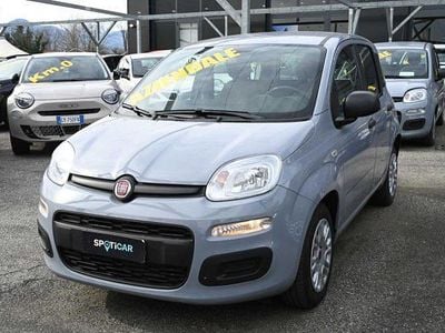 Usata Fiat Panda Easy 69 CV (50 kW) 2022 Grigio Utilitaria