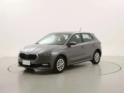 Usata Skoda Fabia