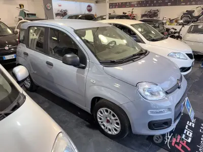 Usata Fiat Panda Easy 69 CV (50 kW) 2018 Grigio Utilitaria