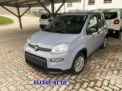 usata Fiat Panda 1.0 PROMO FIN. 1.0 FireFly S&S Hybrid MY 23 KM 0