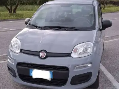 Usata Fiat Panda