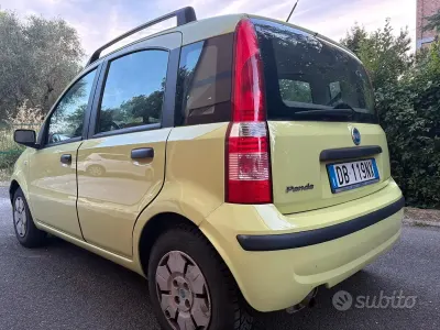 Usata Fiat Panda Active 54 CV (39 kW) 2006 Verde Utilitaria