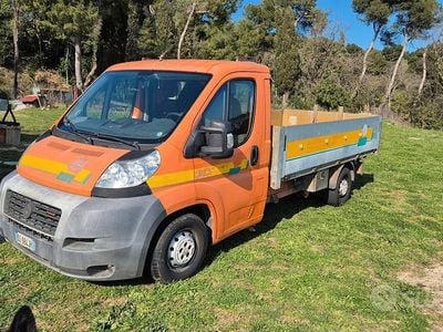 Usata Fiat Ducato 2008 Furgone