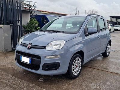 Usata Fiat Panda Easy 69 CV (50 kW) 2019 Grigio Berlina