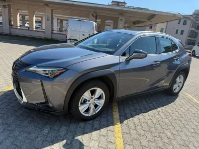 Usata Lexus UX 250h