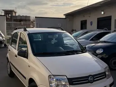 Usata Fiat Panda Dynamic 60 CV (44 kW) 2007 Bianco Utilitaria