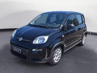 Usata Fiat Panda S 70 CV (51 kW) 2024 Nero Utilitaria