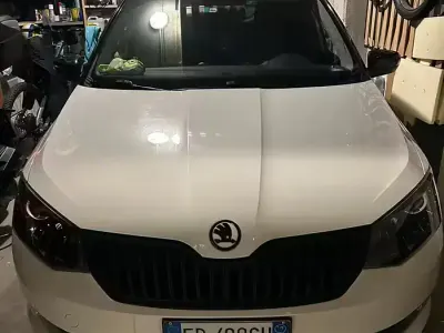 Begagnad Skoda Fabia