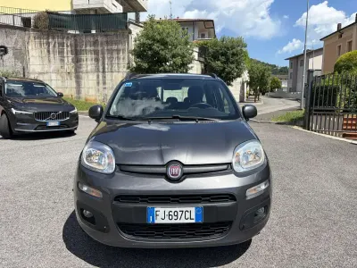 Usata Fiat Panda Lounge 69 CV (50 kW) 2017 Grigio Utilitaria