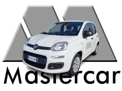 usata Fiat Panda Panda1.2 POP NEOPATENTATI FR812NY