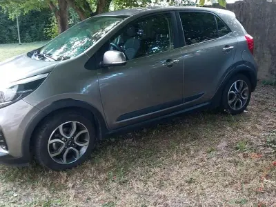 Usata Kia Picanto X-Line 67 CV (49 kW) 2019 Grigio Utilitaria