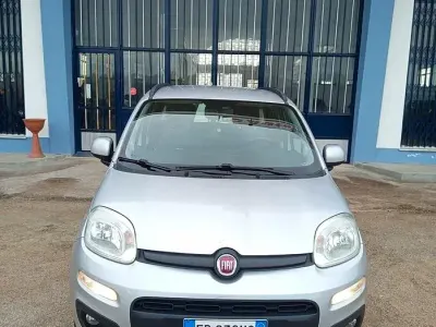 Usata Fiat Panda Lounge 80 CV (58 kW) 2016 Grigio Utilitaria