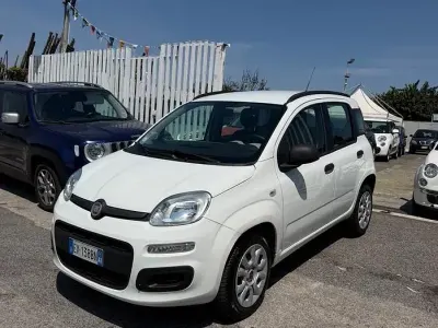 Usata Fiat Panda Lounge 80 CV (58 kW) 2014 Bianco Utilitaria