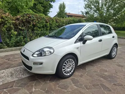 Usata Fiat Punto Pop 69 CV (50 kW) 2015 Bianco Utilitaria