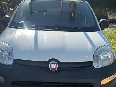 Usata Fiat Panda 4x4