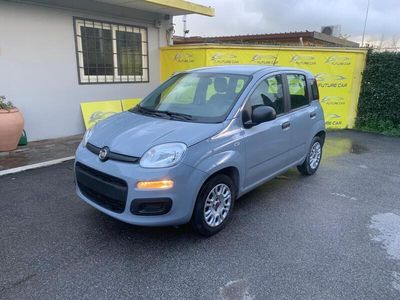 Usata Fiat Panda Easy 69 CV (50 kW) 2020 Grigio Utilitaria
