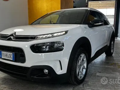 Usata Citroën C4 Cactus Shine 120 CV (88 kW) 2020 Bianco Utilitaria