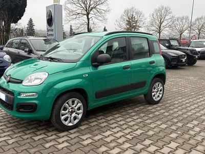 Usata Fiat Panda Pop 84 CV (61 kW) 2014 Verde Utilitaria