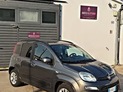 Usata Fiat Panda Lounge 69 CV (50 kW) 2017 Grigio Utilitaria