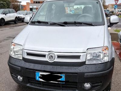 Usata Fiat Panda 77 CV (56 kW) 2010 Grigio Utilitaria