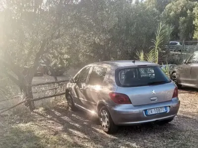 Usata Peugeot 307 90 CV (66 kW) 2005 Marrone Berlina