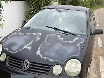Occasion VW Polo