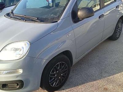 Usata Fiat Panda Red 69 CV (50 kW) 2022 Grigio Utilitaria