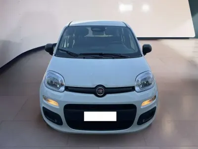 Usata Fiat Panda 69 CV (50 kW) 2025 Bianco Utilitaria