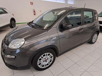 Usata Fiat Panda S 69 CV (50 kW) 2023 Grigio Utilitaria
