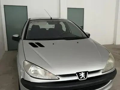 Usata Peugeot 206