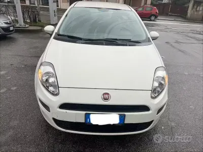 Usata Fiat Punto Easy 77 CV (56 kW) 2013 Bianco Utilitaria