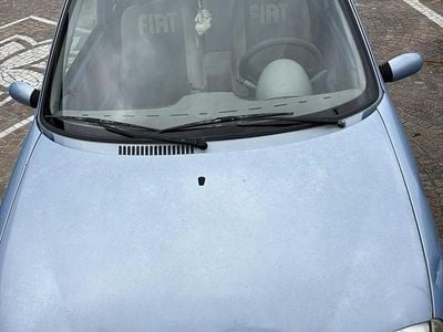 Occasion Fiat 600 Active 54 ch (39 kW) 2008 Citadine