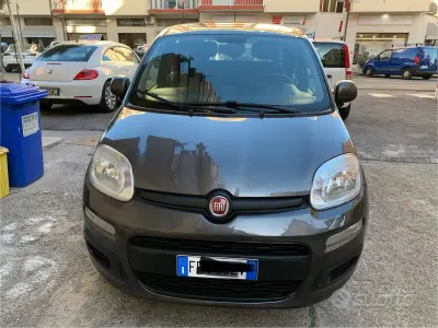 Usata Fiat Panda Easy 69 CV (50 kW) 2018 Grigio Utilitaria