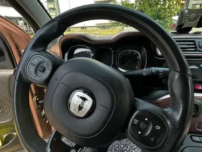 Usata Fiat Panda 4x4 S 86 CV (63 kW) 2019 Marrone Utilitaria