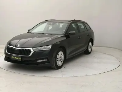 Usata Skoda Octavia