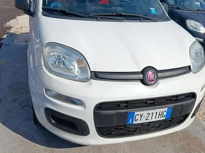 Usata Fiat Panda Lounge 69 CV (50 kW) 2016 Bianco Utilitaria