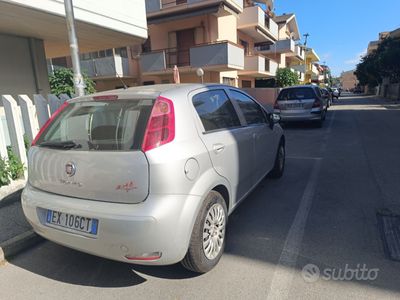 usata Fiat Punto Punto 1.4 8V 5 porte Easypower Street