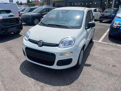 Nuova Fiat Panda S 70 CV (51 kW) 2025 Bianco Utilitaria