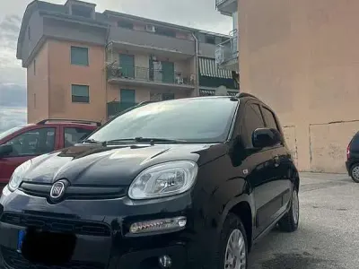 Usata Fiat Panda Pop 69 CV (50 kW) 2020 Nero Utilitaria