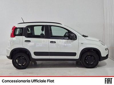 Usata Fiat Panda 4x4 S 86 CV (63 kW) 2020 Bianco Utilitaria