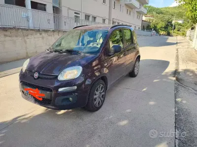 Usata Fiat Panda 85 CV (62 kW) 2013 Utilitaria